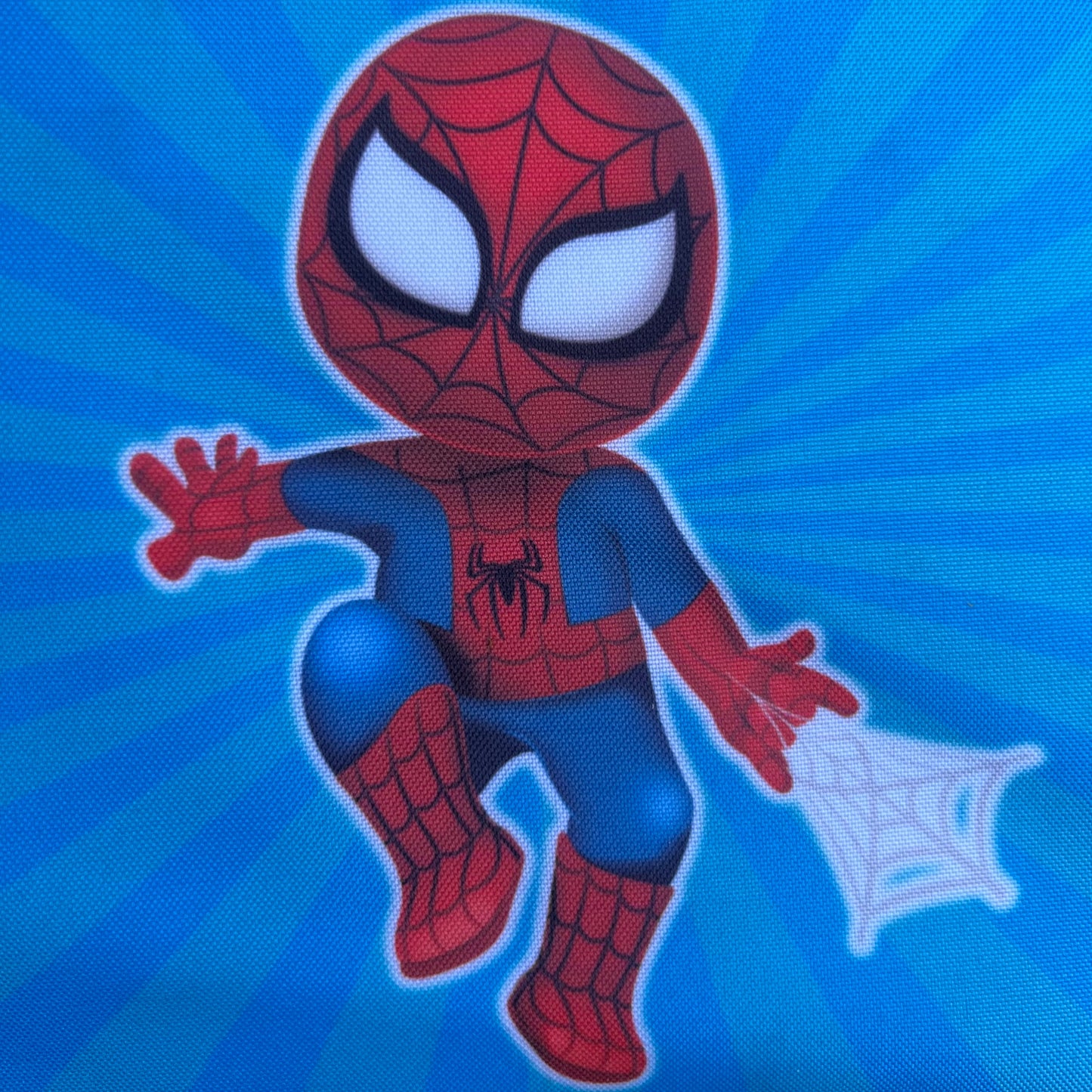 Bolsa H Aranha